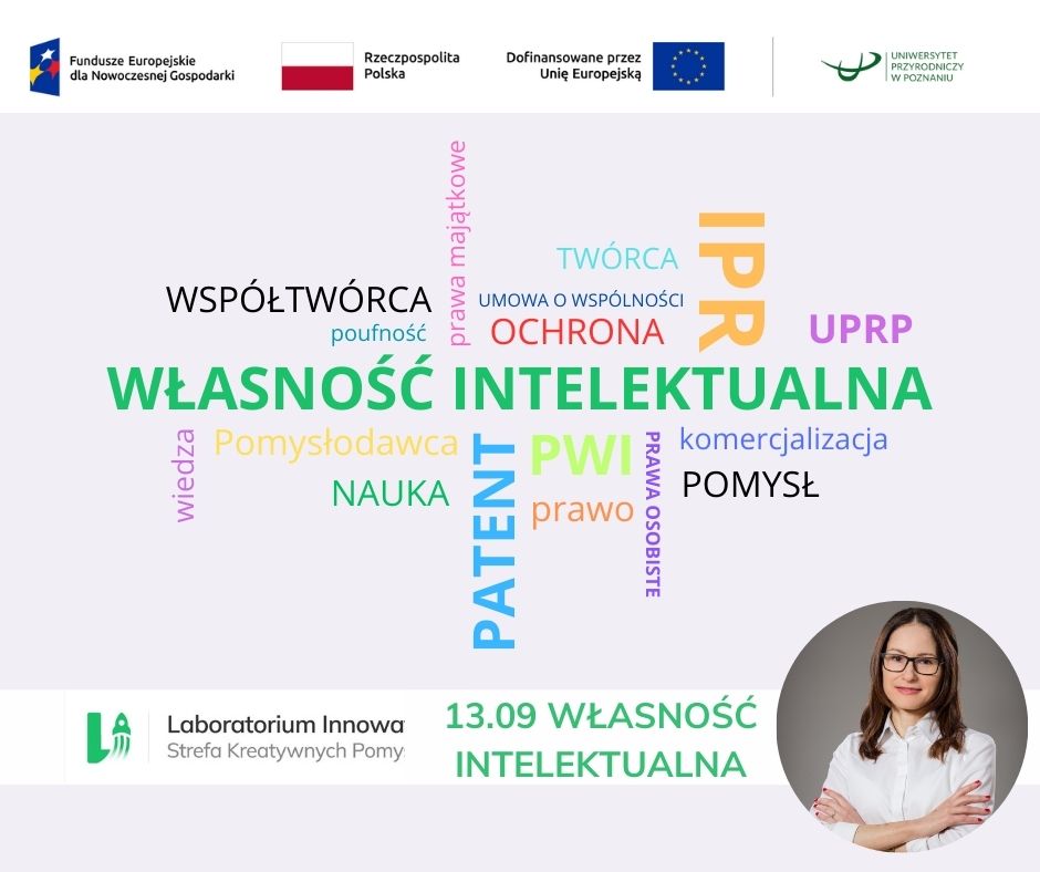 prawa własności intelektualnej